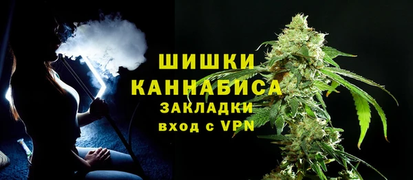 МДПВ Каменногорск