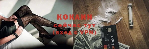 МДПВ Каменногорск