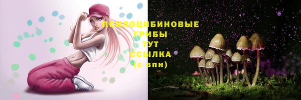 МДПВ Каменногорск