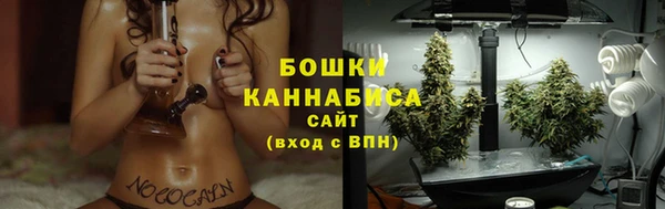 первитин Каменка