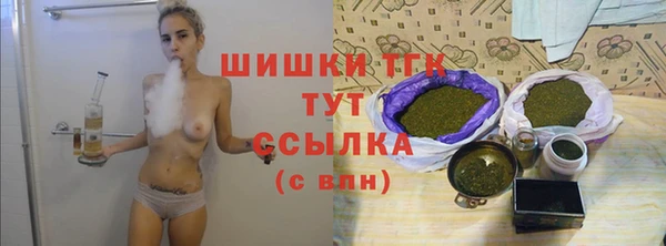 первитин Каменка