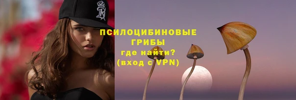 первитин Каменка