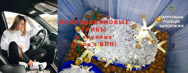 МДПВ Каменногорск