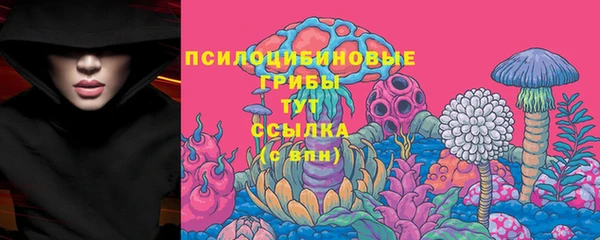 марки lsd Карпинск