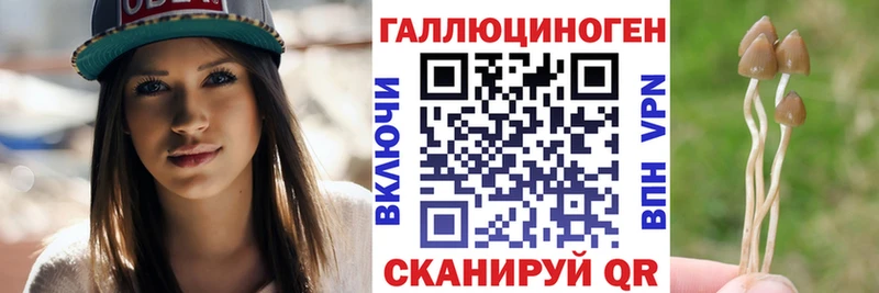 Псилоцибиновые грибы мицелий  Купить  Ленинск-Кузнецкий 